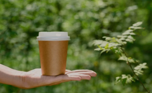 Eco-Friendly Drinkware Options That Don’t Compromise Style
